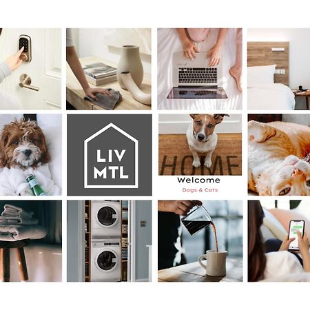 몬트리올 Liv Mtl Mtl 아파트 호텔 외부 사진