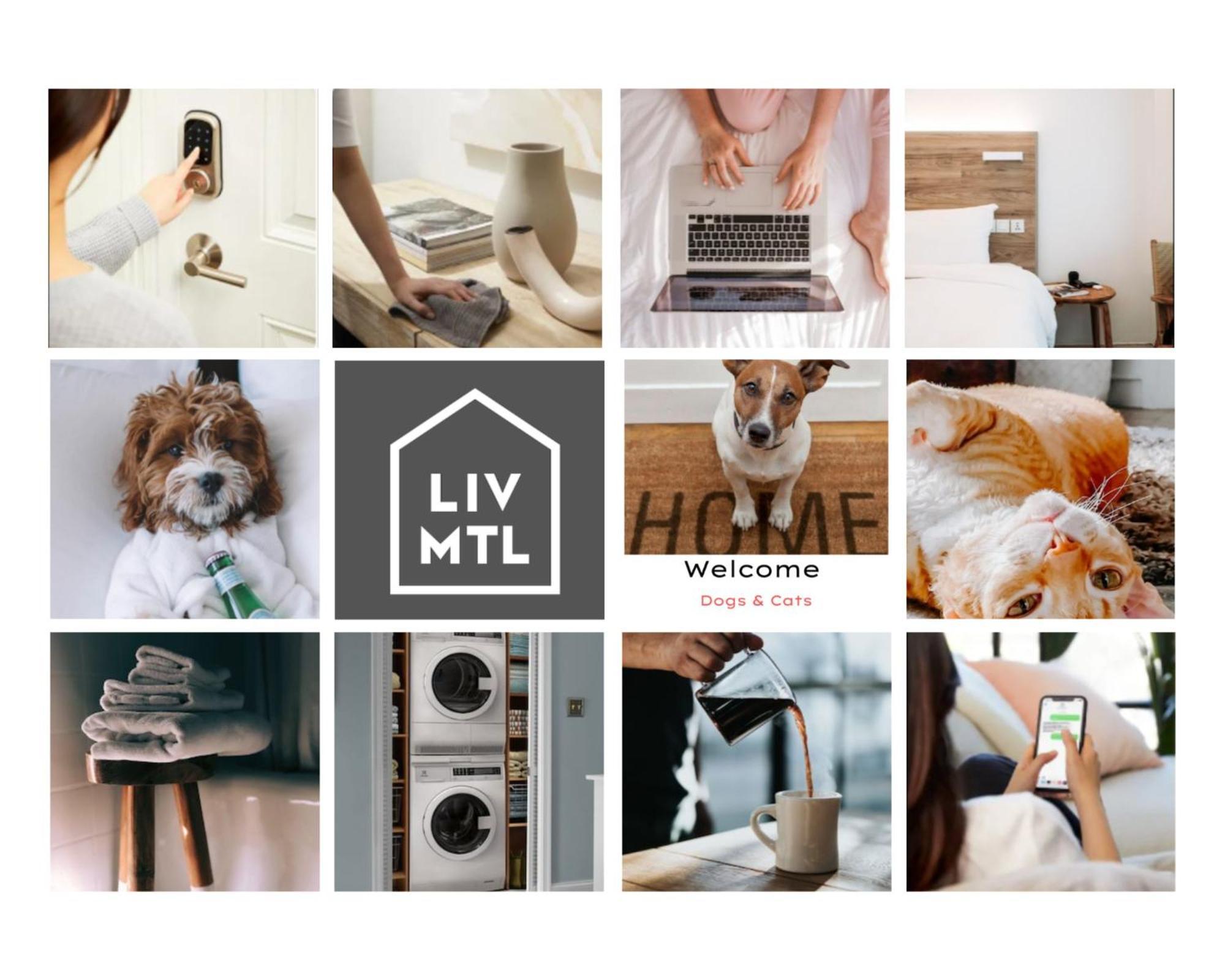 몬트리올 Liv Mtl Mtl 아파트 호텔 외부 사진